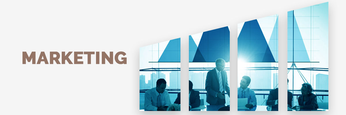 Innovative Search engine optimization company in hyderabad